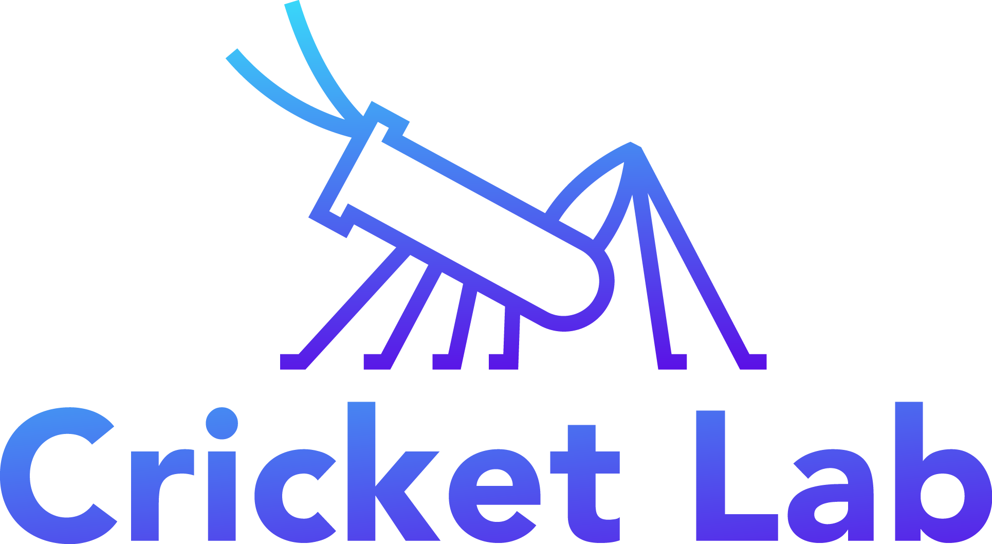 Cricket Lab